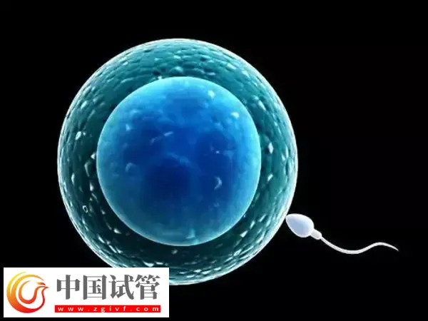 北京试管医院有哪些(图4) 北京试管医院有哪些(图4)