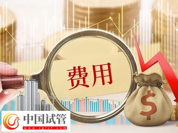 安徽阜阳市人民医院做试管婴儿生双胞胎费用需多少钱？