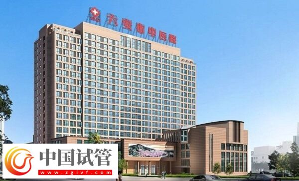 六安公立医院做一次供卵试管婴儿要多少钱？