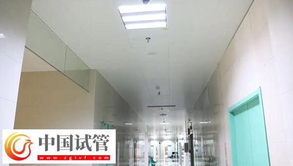 六安中医院生殖科人工授精成功率怎么样？十个成功几个？