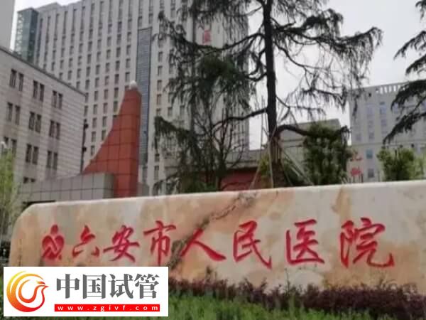 安徽六安市人民医院试管婴儿各阶段费用情况是怎样的？