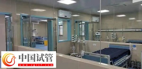 铜陵有没有做供卵试管不用排队的医院？
