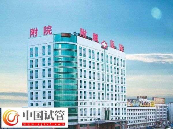 北华附院生殖中心张弘医生做试管婴儿好不好？