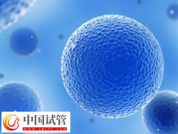 吉林市中心医院试管婴儿单个胚胎移植成功率怎么样？