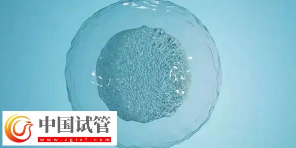 延吉市中医医院供精试管婴儿成功率怎么样?(图1) 延吉市中医医院供精试管婴儿成功率怎么样?(图1)