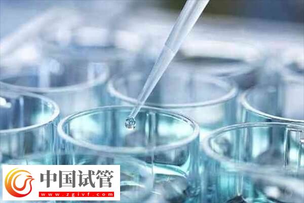 胚胎培育周期结束后何时进行移植(图1) 胚胎培育周期结束后何时进行移植(图1)