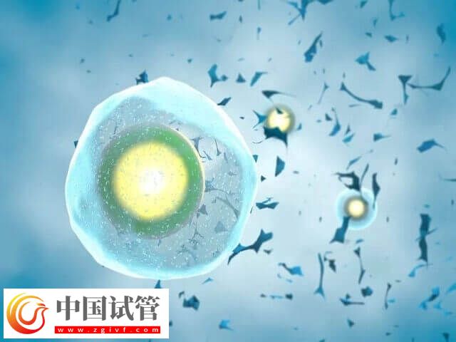 第二次试管需不需要促排(图2) 第二次试管需不需要促排(图2)