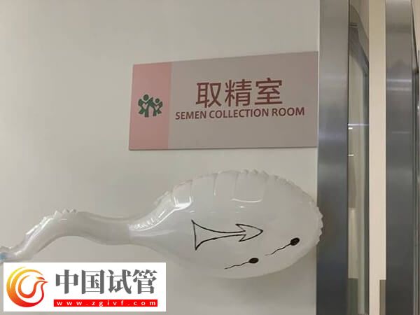 试管提前一天排精可不可以(图2) 试管提前一天排精可不可以(图2)
