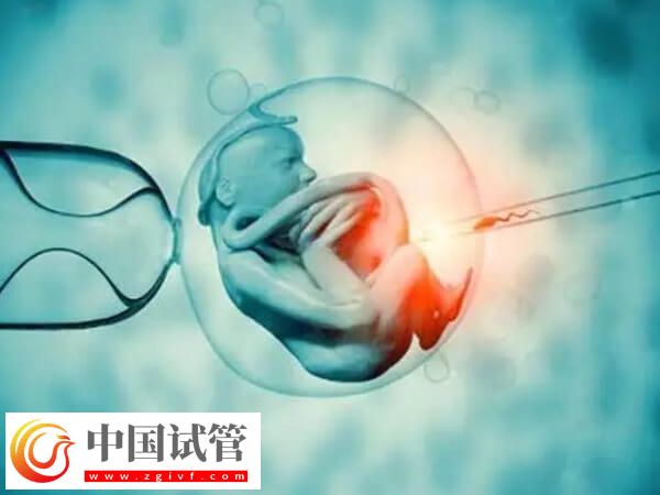 澳门试管成功率高不高