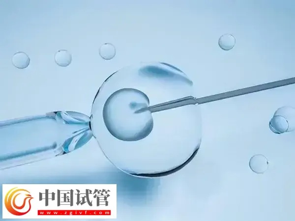 做试管是不是可以提高卵子质量(图1) 做试管是不是可以提高卵子质量(图1)
