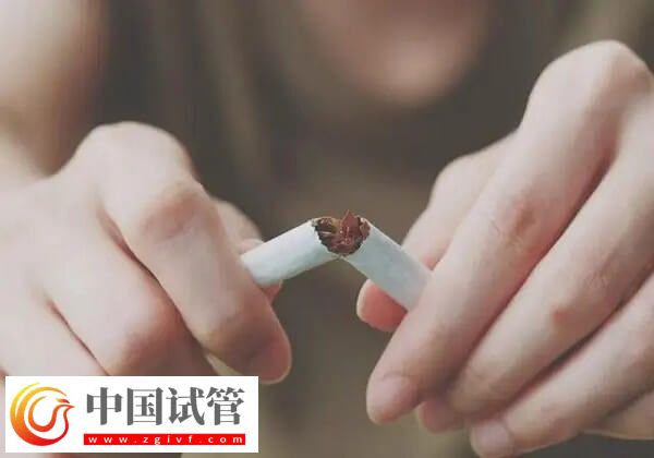 做试管是不是可以提高卵子质量(图2) 做试管是不是可以提高卵子质量(图2)