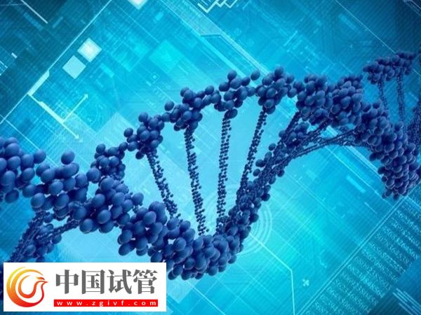 胚胎筛选和性别筛选是否一样(图2) 胚胎筛选和性别筛选是否一样(图2)
