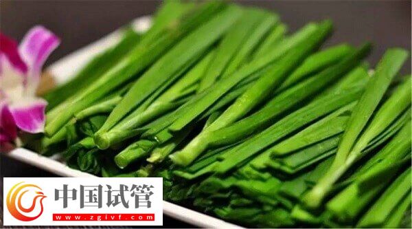 为什么鲜胚移植后不建议吃韭菜?(图2) 为什么鲜胚移植后不建议吃韭菜?(图2)