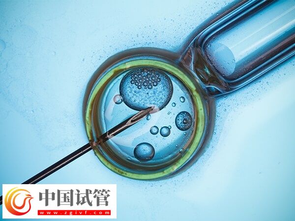 取卵后精卵不结合该怎么办(图1) 取卵后精卵不结合该怎么办(图1)