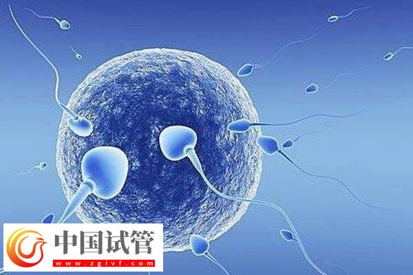 人工周期有卵泡是不是就不能移植了(图1)