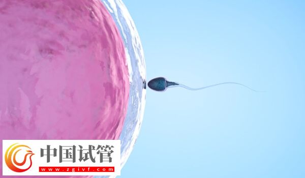 人工周期要去几次医院(图1) 人工周期要去几次医院(图1)