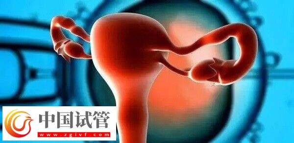 达菲林降调成功卵泡是多大(图3) 达菲林降调成功卵泡是多大(图3)