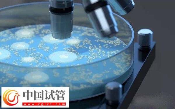 为什么人工周期成功率高(图1) 为什么人工周期成功率高(图1)