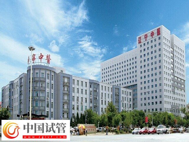 沈阳十大试管医院有哪些(图3) 沈阳十大试管医院有哪些(图3)