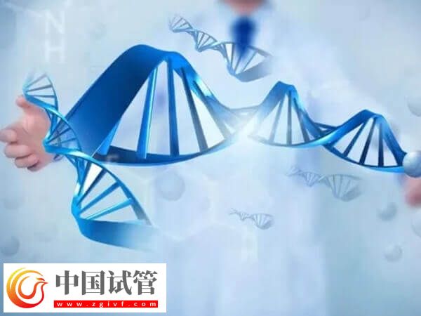 先天性肾病怎么做试管婴儿(图1)