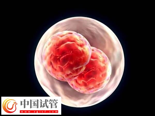 上海长征医院做试管的流程是什么(图2) 上海长征医院做试管的流程是什么(图2)