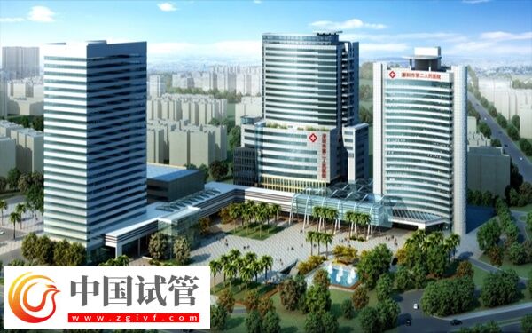 深圳二医院试管费用多少