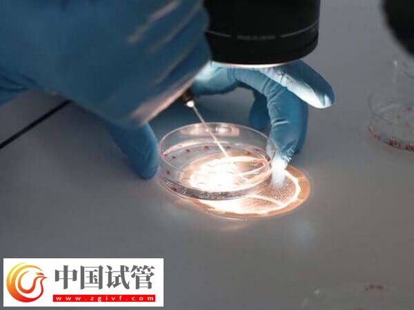 为什么试管养囊第6天才成功