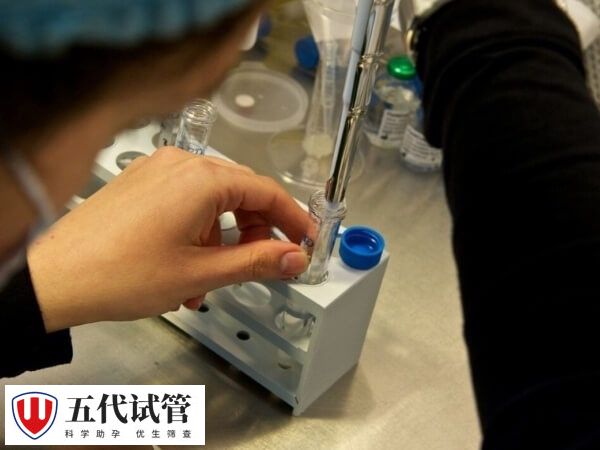 取卵后多久没腹水算安全