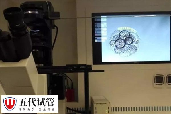 胚胎培养成囊胚有几步