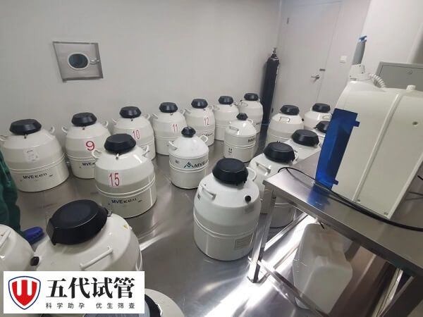 试管剩余胚胎能不能捐赠
