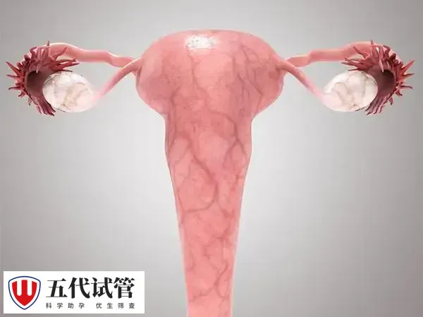 子宫腺肌症试管婴儿移植后要怎么保胎
