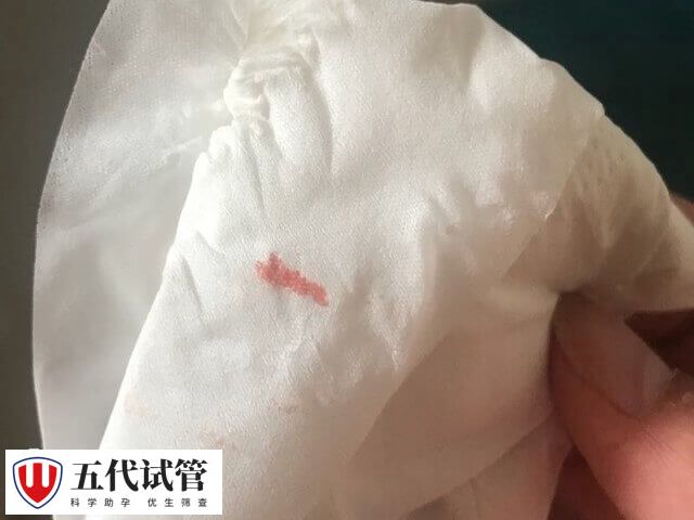 移植着床会出血