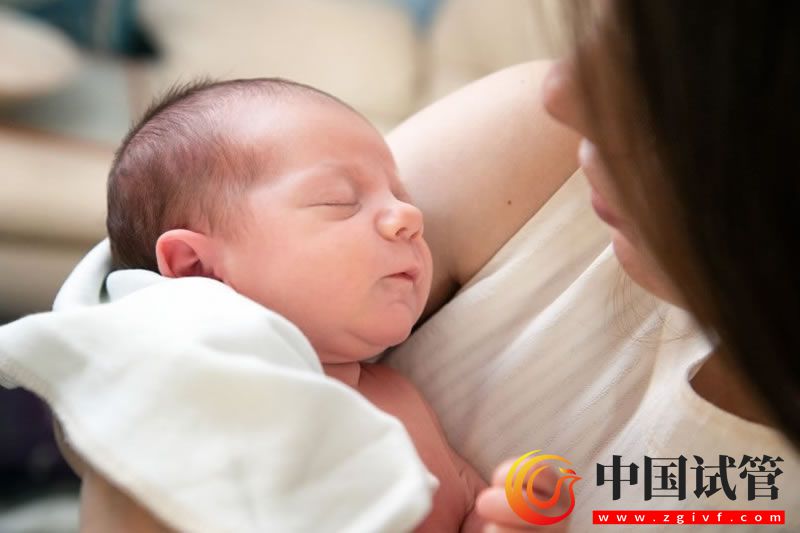 怎么做试管怀孕几率大