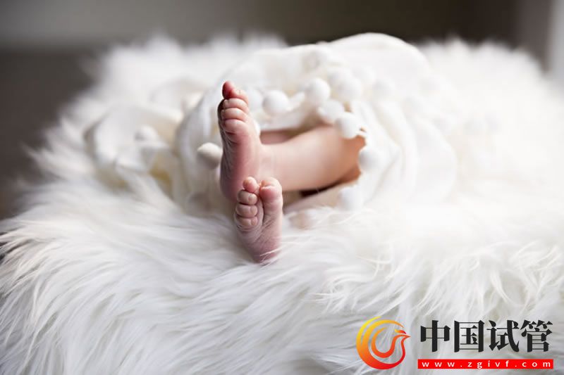 磨丁试管医院价格揭秘：你需要知道的一切